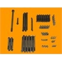 Titanium Bolt Kit for Cat 1000 Twin Engine