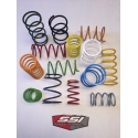 DRIVEN CLUTCH SPRINGS 