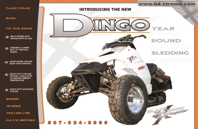 All new sand Dingo