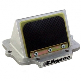 SKI DOO 600 CARB BOYESEN RAGE CAGES 2010-2015