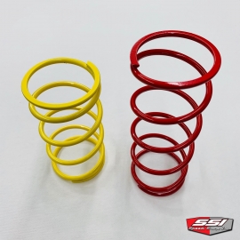 XP PRO & 2021 XP PRIMARY CLUTCH SPRINGS