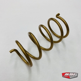 CAN AM DRIVEN SPRING 160-355 GOLD