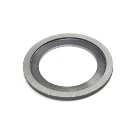 ARCTIC CAT 800 PISTON SHIM