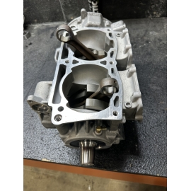 Polaris 850 Patriot Short Block